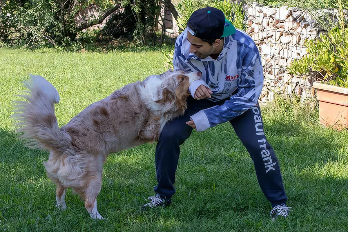 Pastore Australiano red merle che gioca con un ragazzo durante i primi 12 mesi di crescita