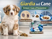 Immagine illustrativa di un cucciolo di cane con riferimento alla giardia, con elementi grafici che rappresentano il parassita, i sintomi intestinali e la diagnosi tramite esame di laboratorio.