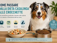 Immagine illustrativa con un Pastore Australiano accanto a due ciotole, una con dieta casalinga e una con crocchette. La grafica richiama il passaggio graduale basato sul calcolo delle calorie e sull’uso di un calcolatore interattivo.