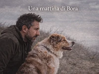 Un Pastore Australiano red merle e il suo proprietario affrontano una giornata ventosa all’aperto, mantenendo attenzione e coordinazione mentre osservano l’ambiente circostante.