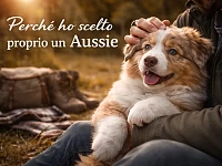Un cucciolo di Pastore Australiano red merle viene tenuto in braccio durante una pausa all’aperto, in un contesto naturale illuminato da luce calda, simbolo dell’inizio della relazione e della scelta della razza.