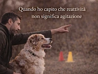 Un Pastore Australiano red merle osserva attentamente l’ambiente mentre il proprietario indica un punto nello spazio, rappresentando la capacità del cane di essere reattivo senza essere agitato.