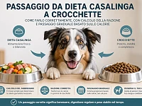Infografica che illustra il passaggio dalla dieta casalinga alle crocchette nel cane, con un Pastore Australiano al centro e due ciotole: una con alimentazione casalinga e una con crocchette. Sono evidenziati i concetti di calcolo del fabbisogno energetico, conversione in grammi e passaggio graduale basato sulle calorie.
