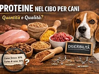 Composizione visiva di diverse fonti proteiche per cani, tra cui carne fresca, crocchette, farine animali e proteine vegetali, affiancate da un cane e riferimenti alla digeribilità e agli amminoacidi essenziali.